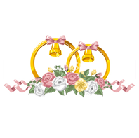 Wedding Decorations in Tirunelveli -Thaara Decorations